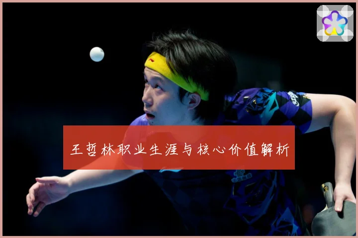 王哲林职业生涯与核心价值解析