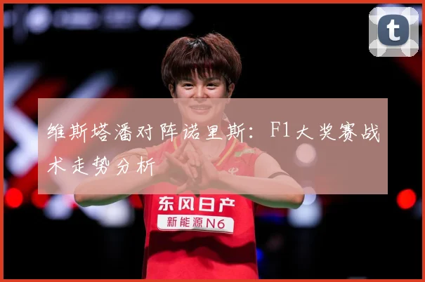 维斯塔潘对阵诺里斯：F1大奖赛战术走势分析