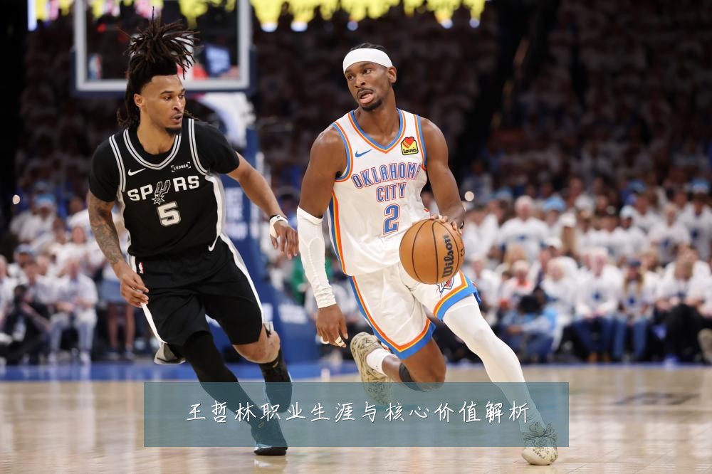 王哲林职业生涯与核心价值解析